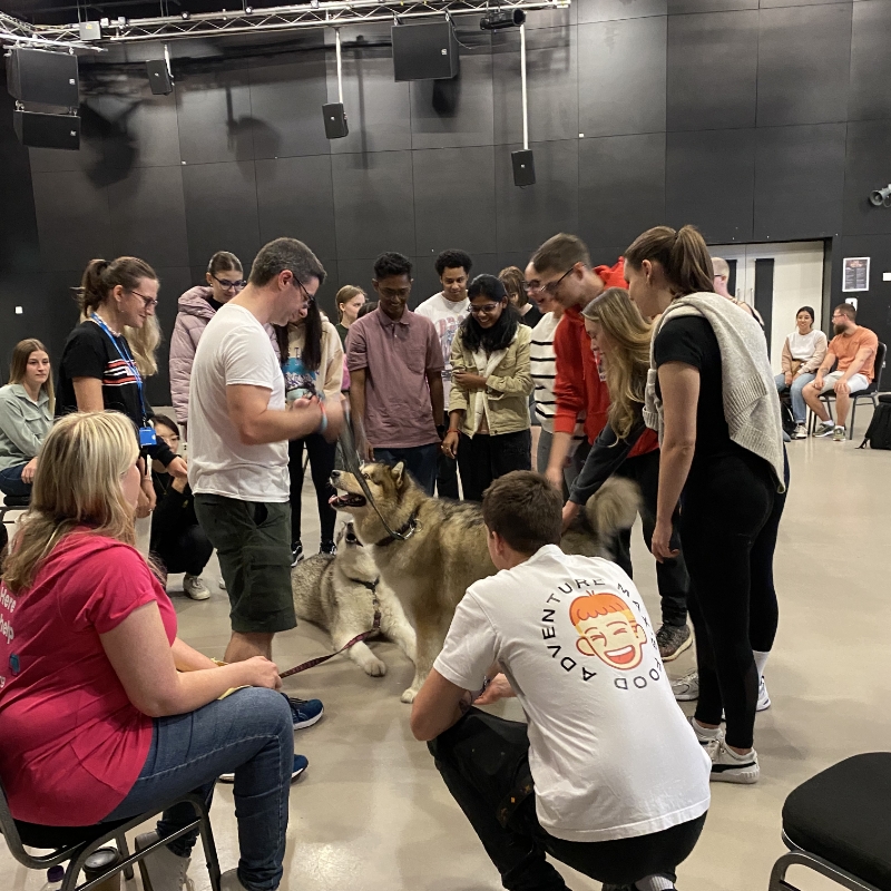 Group of students around two large size therapy dogs and their owner.